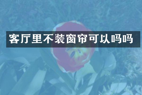 客厅里不装窗帘可以吗吗