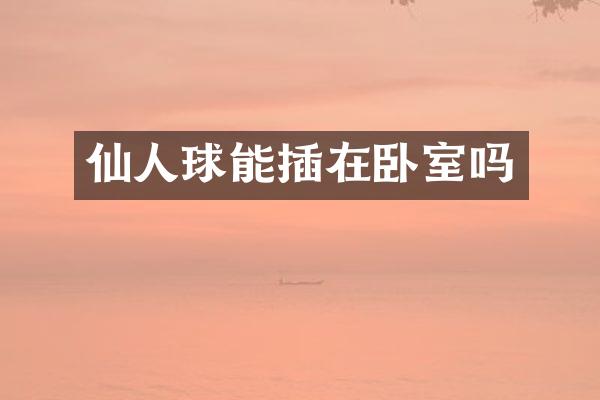 仙人球能插在卧室吗