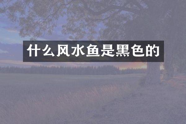 什么风水鱼是黑色的