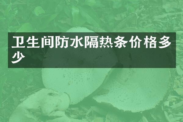 卫生间防水隔热条价格多少
