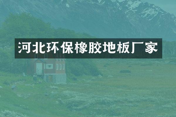河北环保橡胶地板厂家