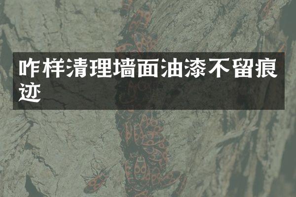咋样清理墙面油漆不留痕迹