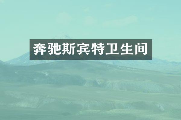 奔驰斯宾特卫生间