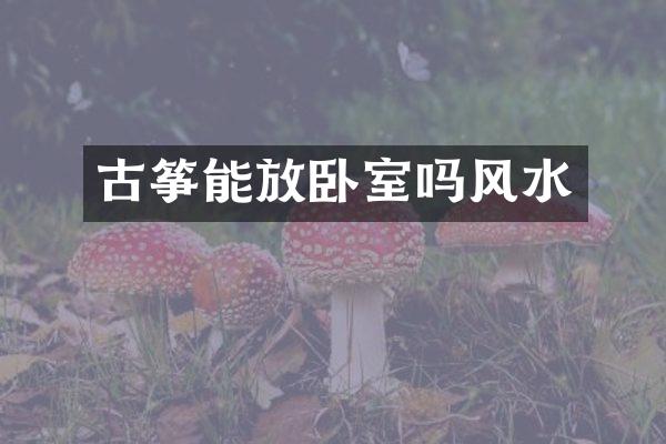 古筝能放卧室吗风水