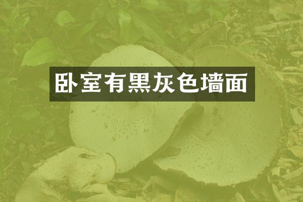 卧室有黑灰色墙面
