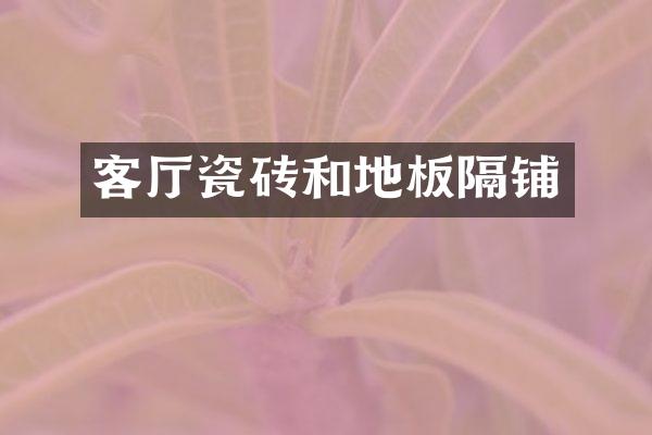 客厅瓷砖和地板隔铺