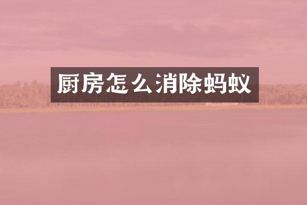 厨房怎么消除蚂蚁