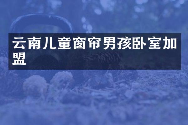 云南儿童窗帘男孩卧室加盟