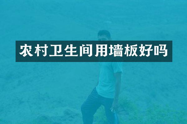 农村卫生间用墙板好吗