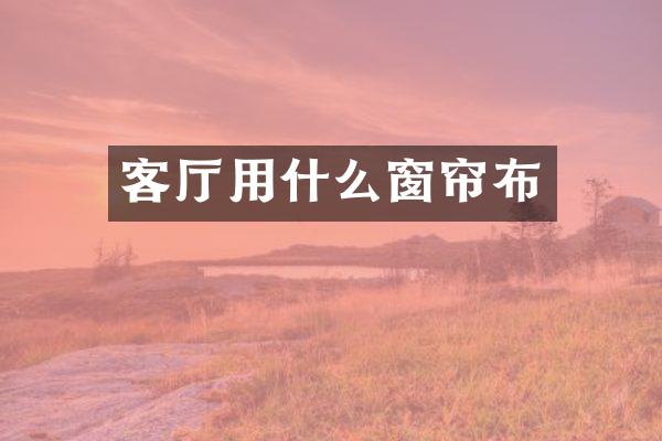 客厅用什么窗帘布
