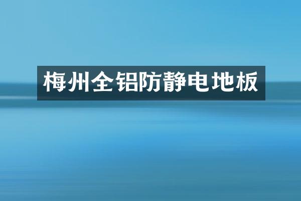梅州全铝防静电地板