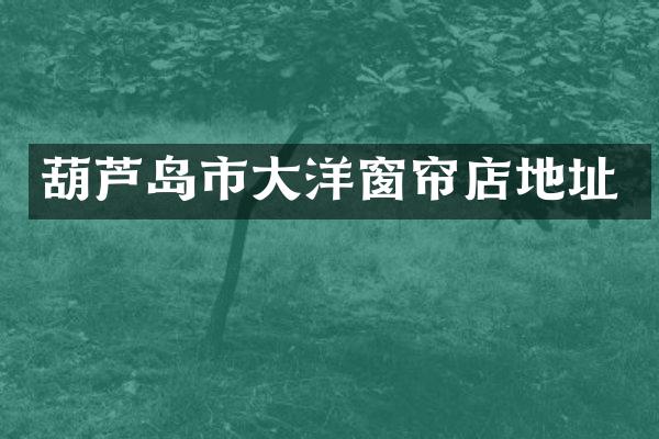 葫芦岛市大洋窗帘店地址