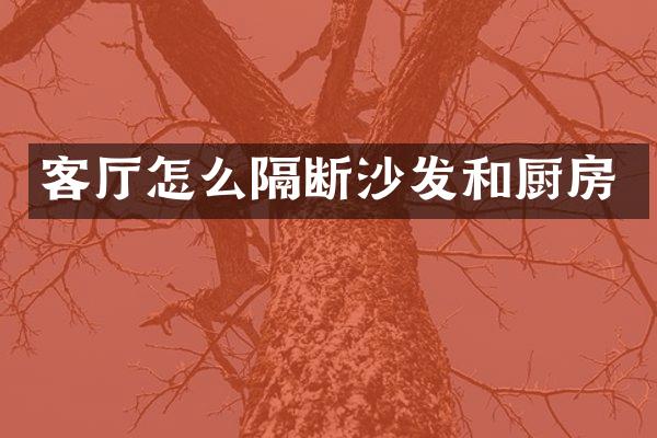 客厅怎么隔断沙发和厨房