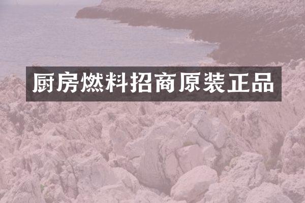 厨房燃料招商原装正品