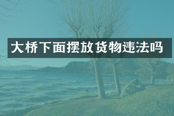 大桥下面摆放货物违法吗