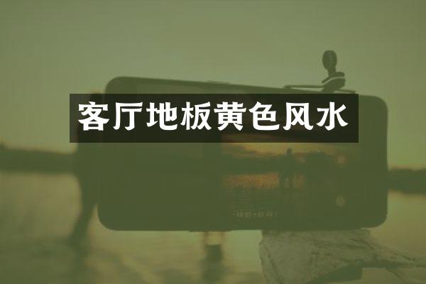 客厅地板黄色风水