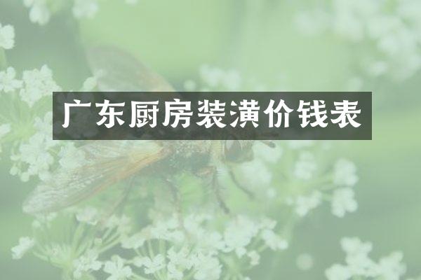 广东厨房装潢价钱表