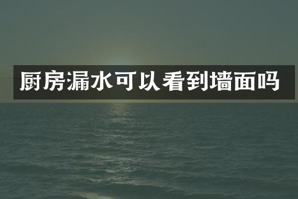 厨房漏水可以看到墙面吗