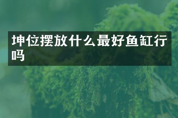 坤位摆放什么最好鱼缸行吗