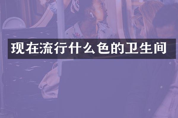 现在流行什么色的卫生间