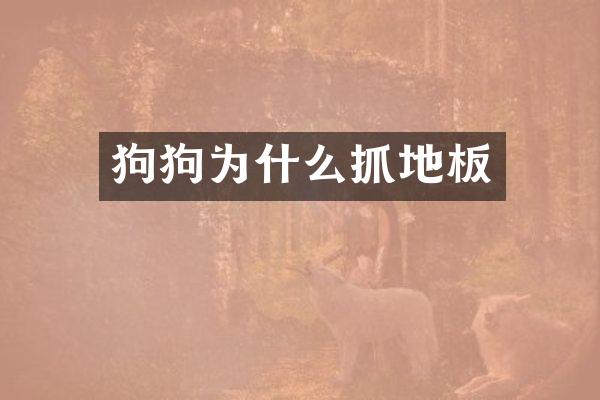 狗狗为什么抓地板