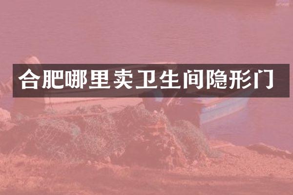 合肥哪里卖卫生间隐形门