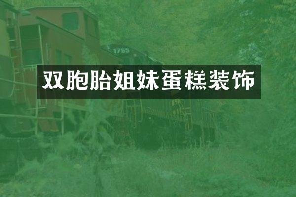 双胞胎姐妹蛋糕装饰