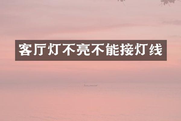 客厅灯不亮不能接灯线