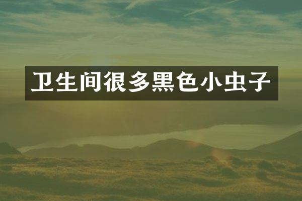 卫生间很多黑色小虫子