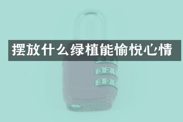 摆放什么绿植能愉悦心情