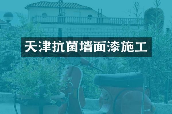 天津抗菌墙面漆施工