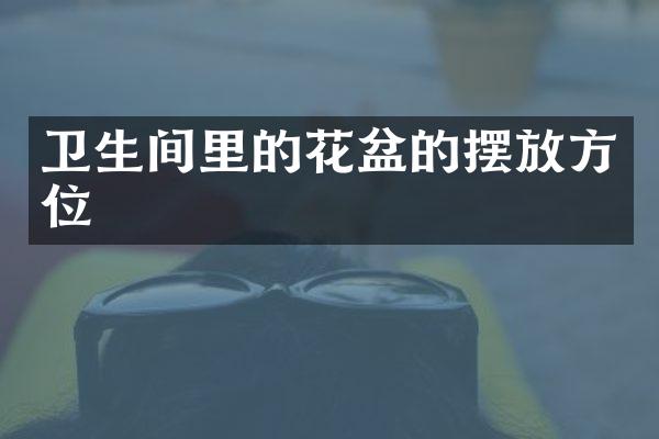 卫生间里的花盆的摆放方位