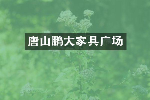 唐山鹏大家具广场