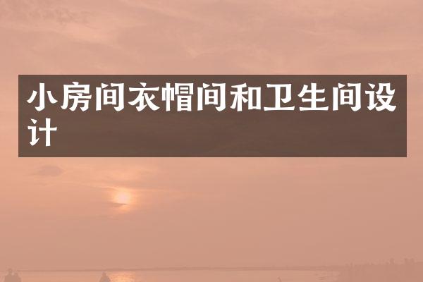 小房间衣帽间和卫生间设计