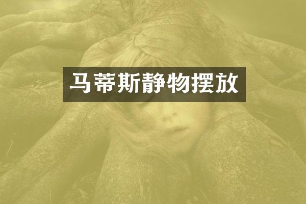 马蒂斯静物摆放