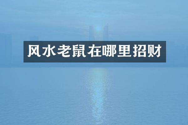 风水老鼠在哪里招财