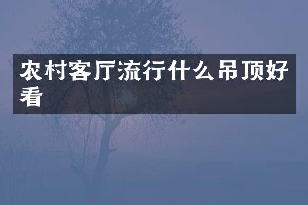 农村客厅流行什么吊顶好看