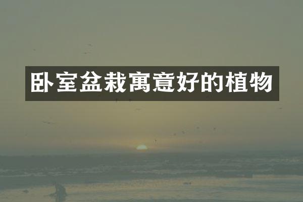 卧室盆栽寓意好的植物