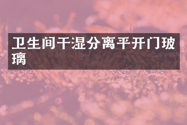 卫生间干湿分离平开门玻璃