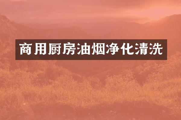 商用厨房油烟净化清洗