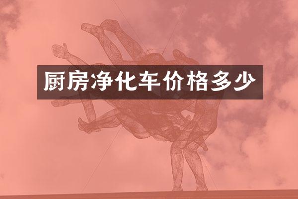 厨房净化车价格多少