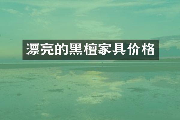漂亮的黑檀家具价格
