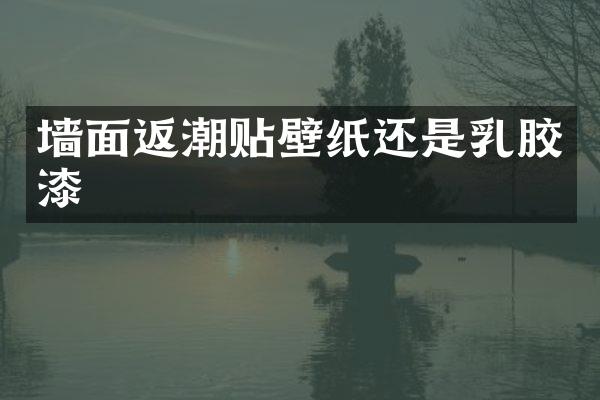 墙面返潮贴壁纸还是乳胶漆