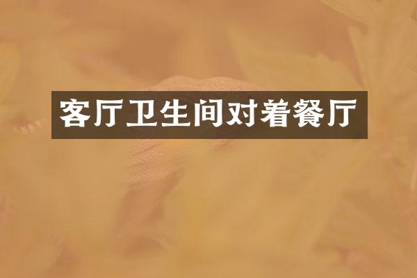 客厅卫生间对着餐厅