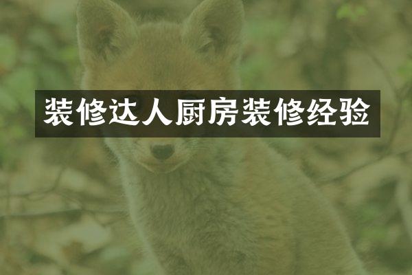 装修达人厨房装修经验