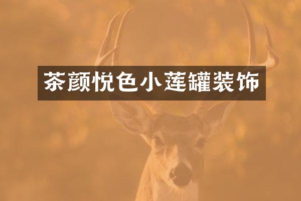 茶颜悦色小莲罐装饰