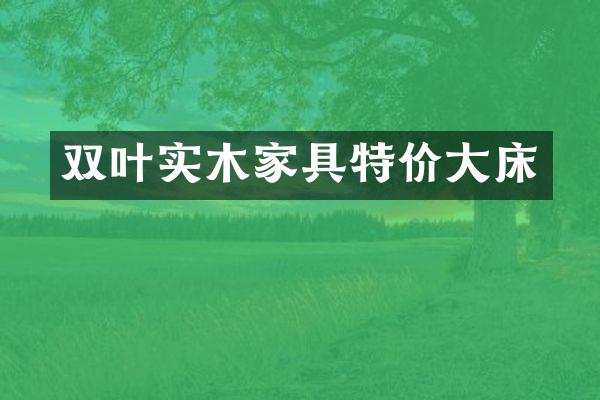 双叶实木家具特价大床