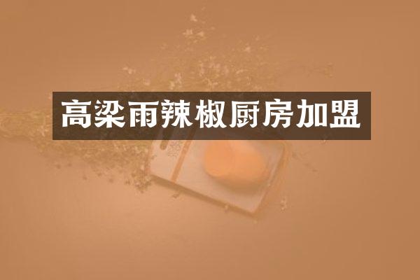 高梁雨辣椒厨房加盟