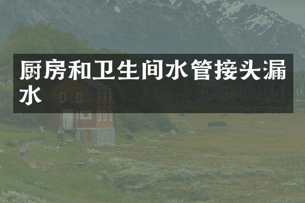 厨房和卫生间水管接头漏水