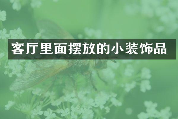 客厅里面摆放的小装饰品